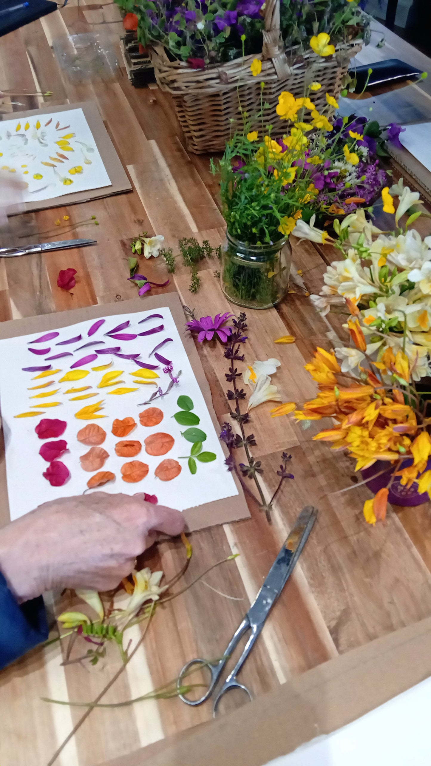 Pressing Flowers and Creating a Decorative Frame. 15th & 29th November. ALCANTARILHA