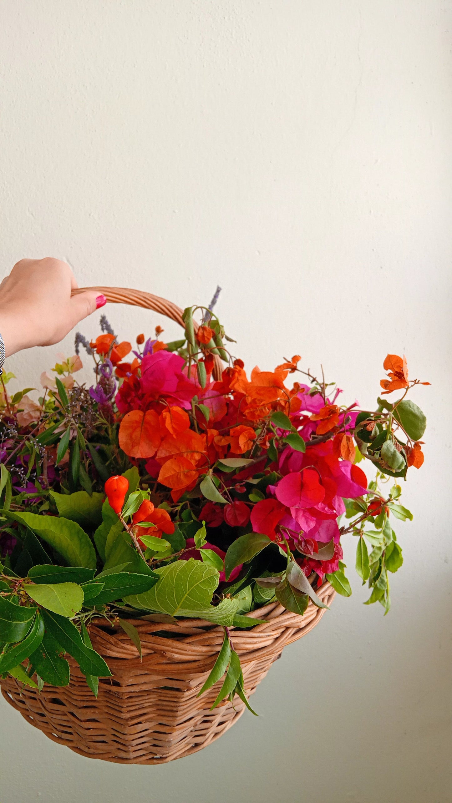 Pressing Flowers and Creating a Decorative Frame. 15th & 29th November. ALCANTARILHA