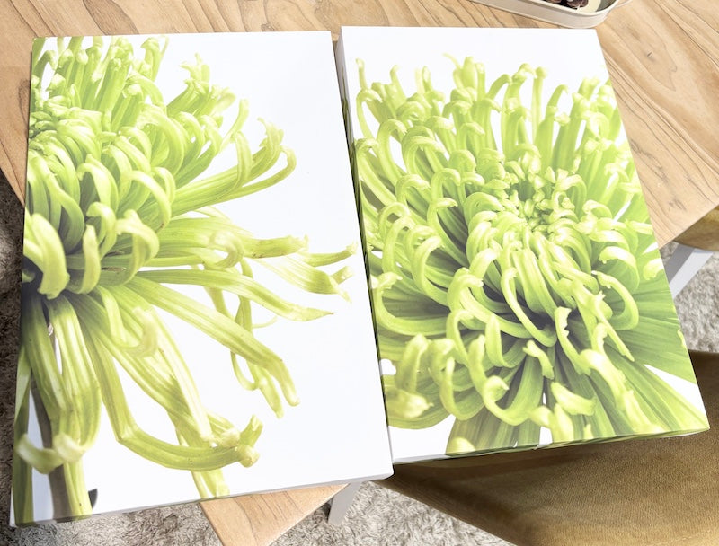 Set of 3 Pictures