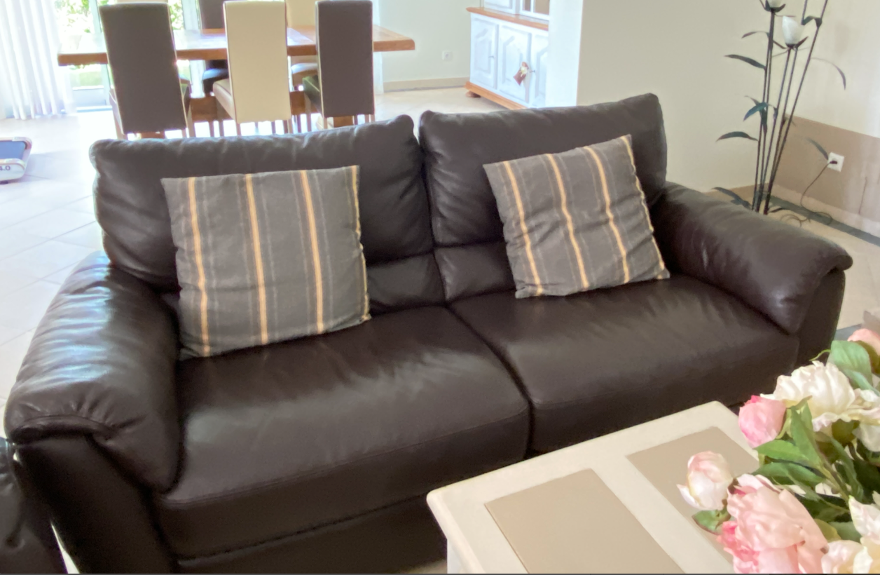 Natuzzi Sofa Set