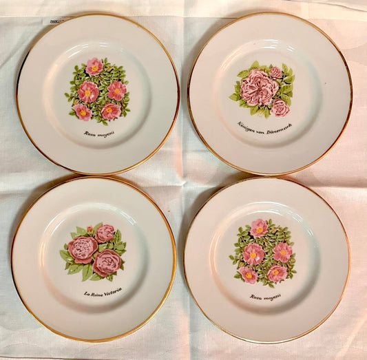 Crockery