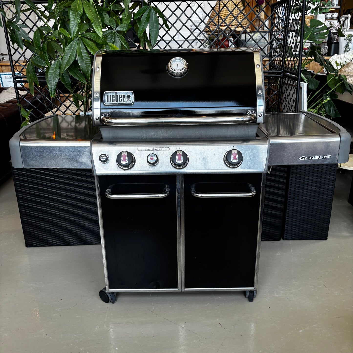 BBQ