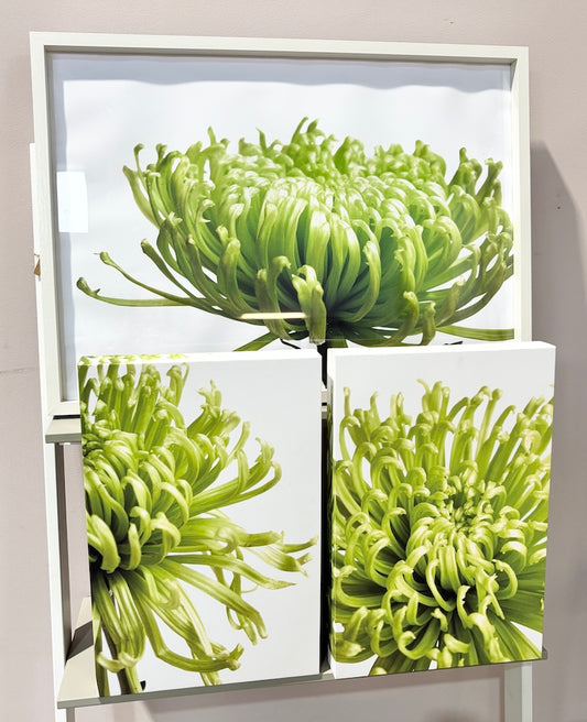 Set of 3 Pictures