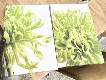 Set of 3 Pictures
