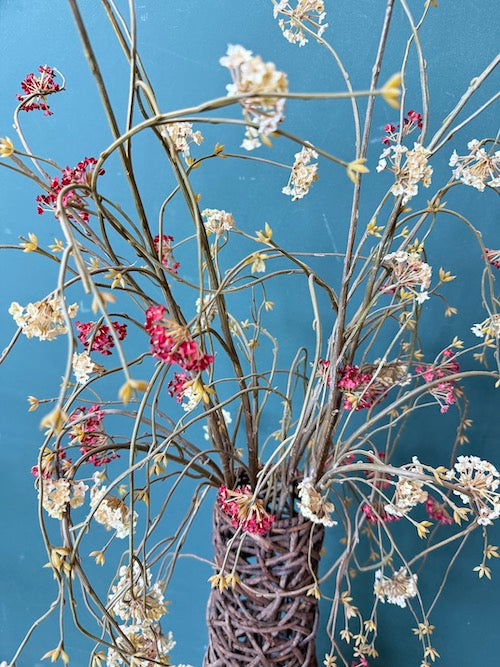 Vaso e Flores
