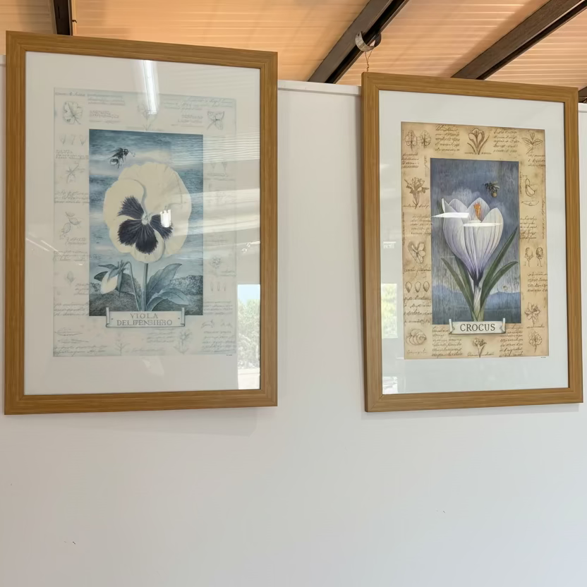 Prints