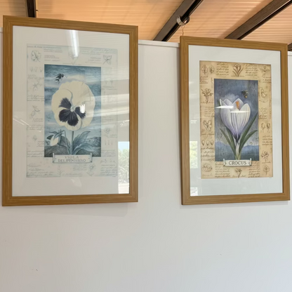 Prints