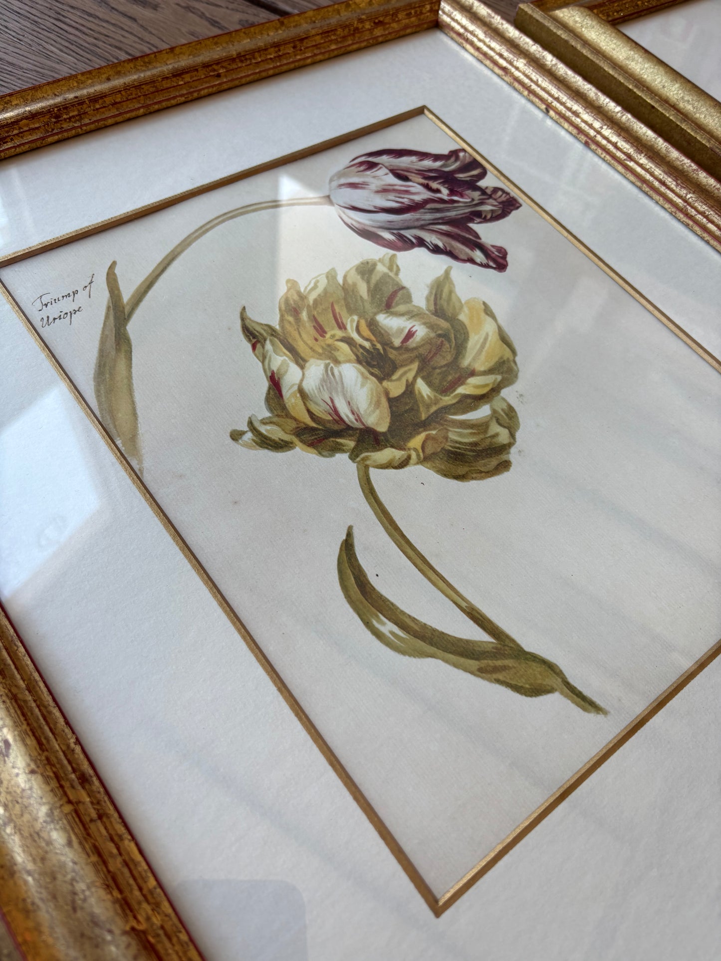 Impressões em pares