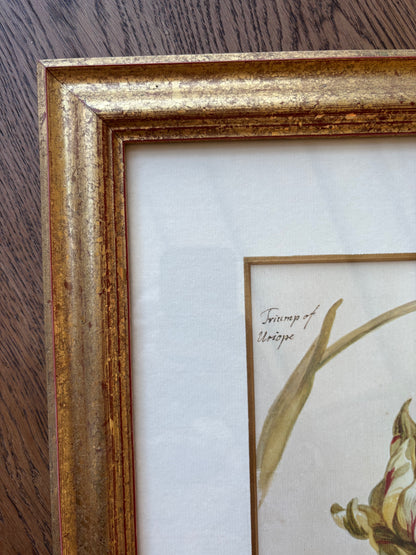 Impressões em pares