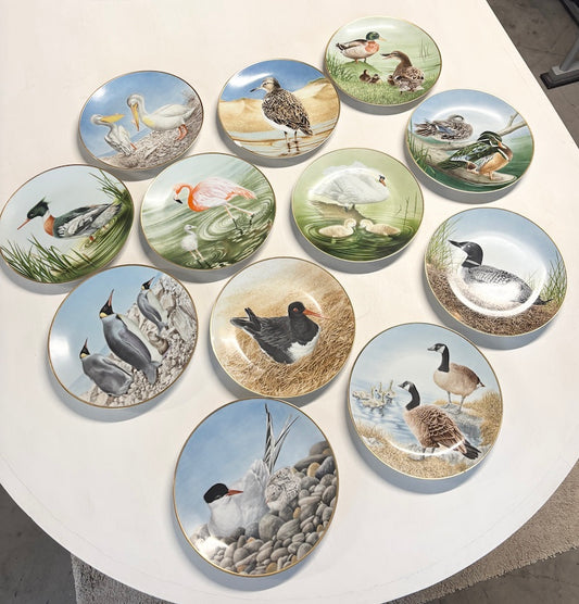 Plate Set