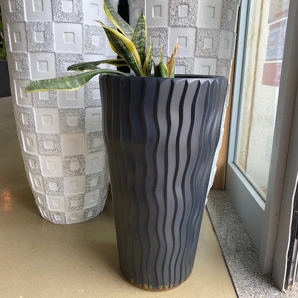 Planta e vaso