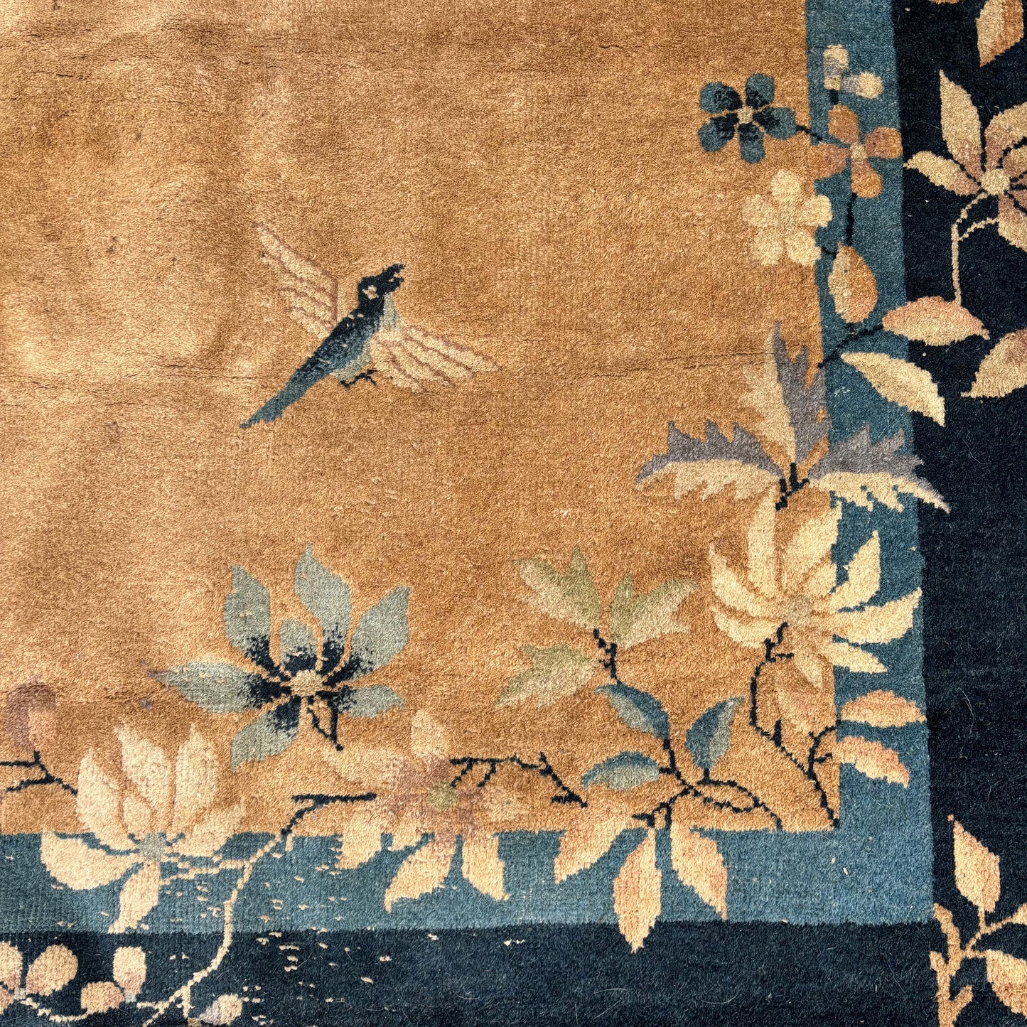 Rug