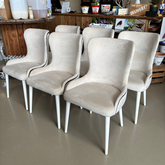 Dining Chairs