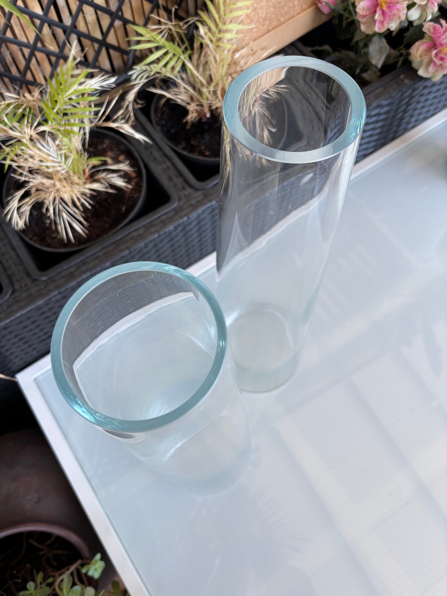 Vasos
