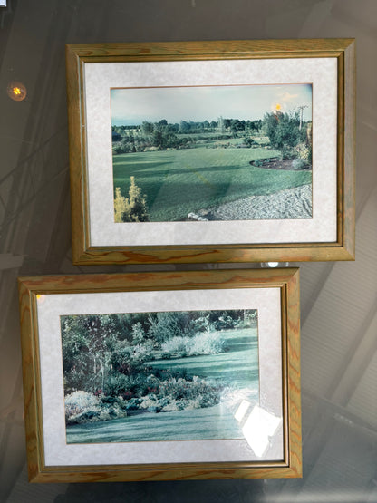 Pictures