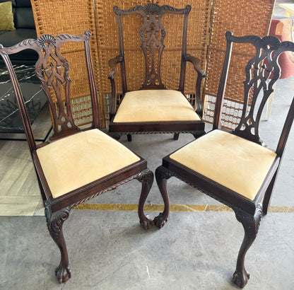 Cadeiras de Jantar