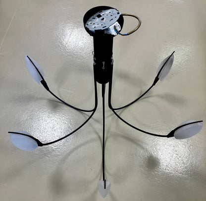 Ceiling Light