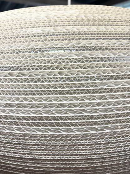 Ceiling Light