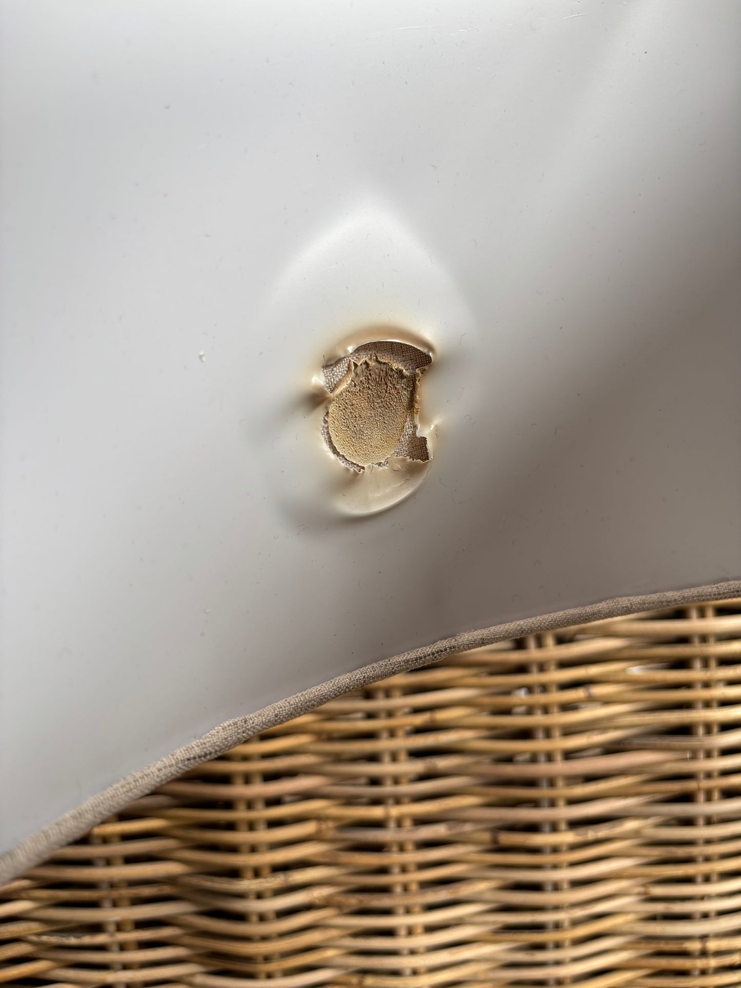 Pair Lamps