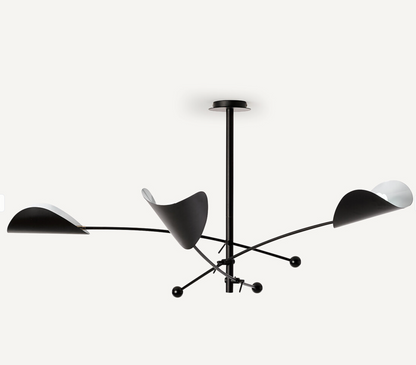 Ceiling Light